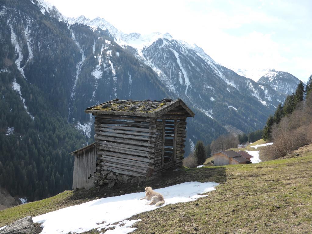 Pension Steinadler Neustift im Stubaital Exteriér fotografie