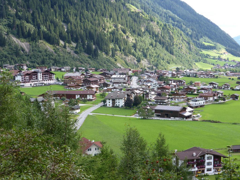 Pension Steinadler Neustift im Stubaital Exteriér fotografie